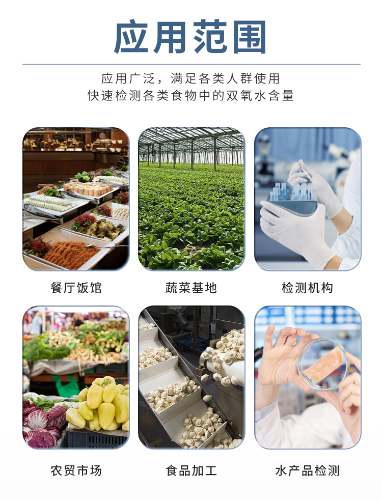 雙氧水檢測儀